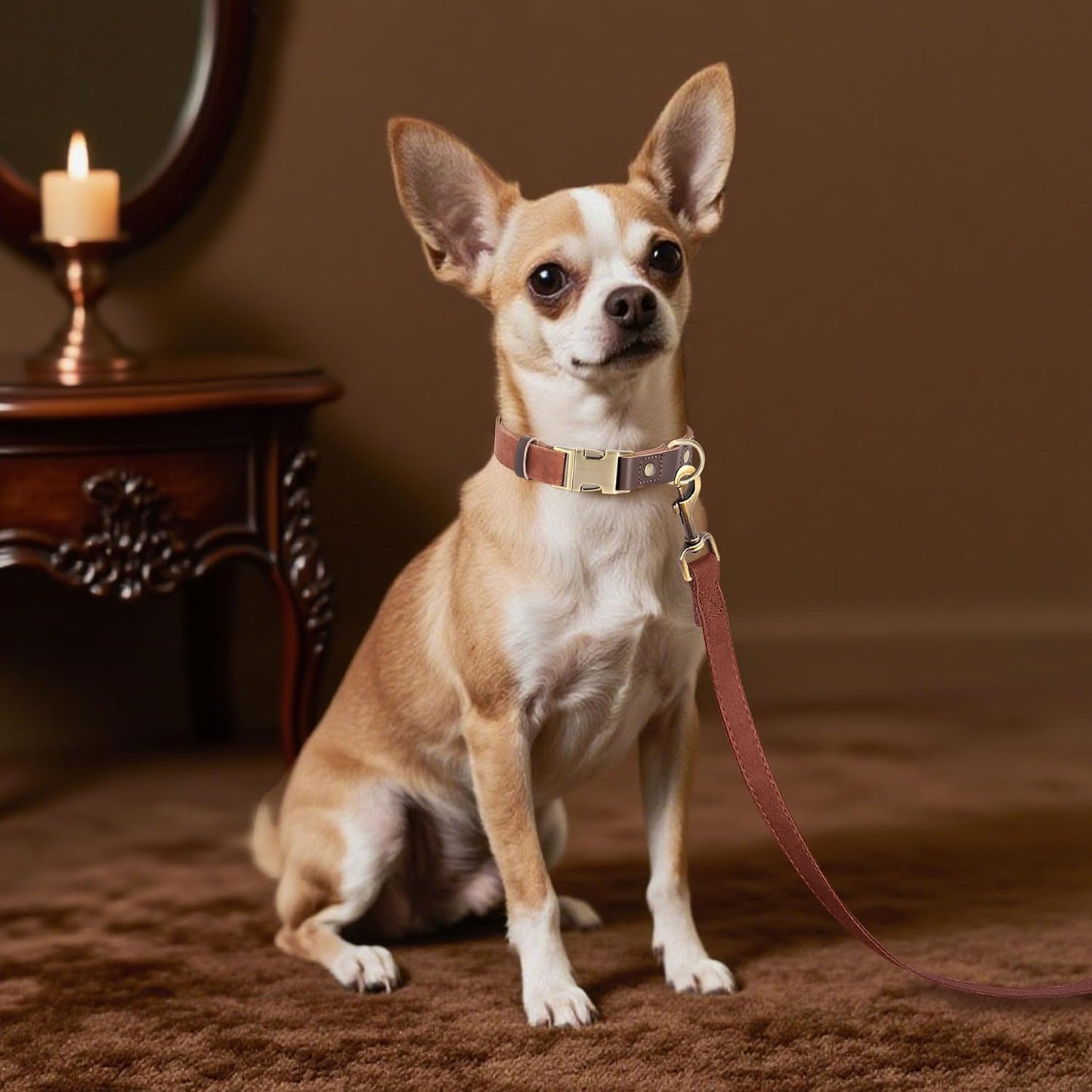 Didog Soft PU Leather Dog Collars for Small Dogs,Classic Adjustable Dog Collars with Quick Release Metal Buckle,Easy Clean and Comfortable with Nylon Lining,Brown,S Neck 10-15"