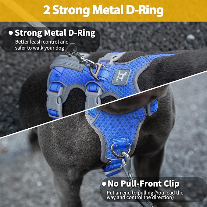 Escape Proof Harness - No Slip Dog Harness, Fully Reflective with Handle, Breathable, Durable, Adjustable Vest for Medium Dogs Walking, Training, and Running Gear (Sea Blue, M)