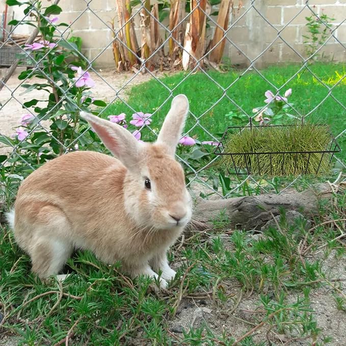 6PCS Rabbit Hay Feeder Bunny Hay Feeder Heavy Duty Metal Rack with Hooks, 9x4x3 Inch Rabbit Hay Holder Cage Hanging Hay Holder for Rabbits Bunny Guinea Pig (Black)