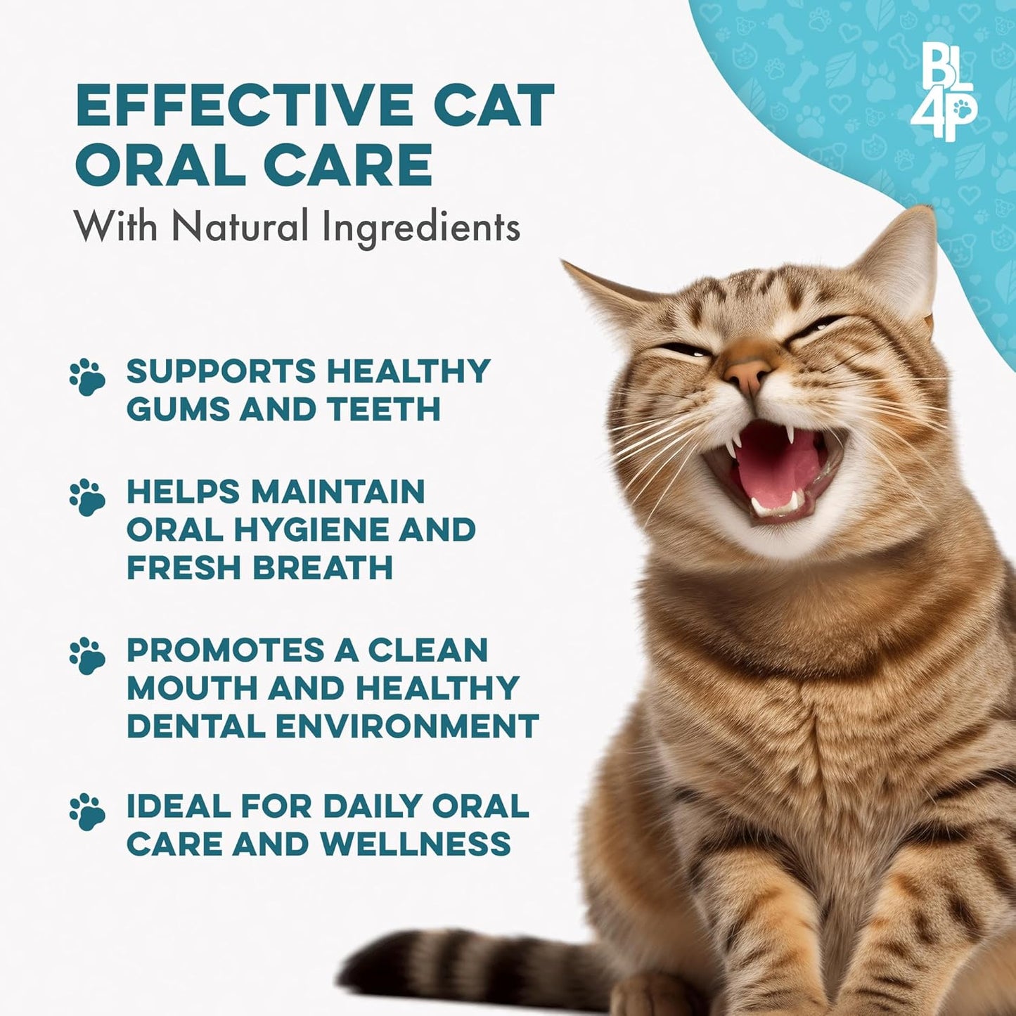 Cat Bad Breath & Oral Health Remedy, Natural Dental Care Cats Teeth, Mouth and Gums, Easy to Use Daily Supplement for Stomatitis, Gingivitis, Plaque & Tartar Control for Cats, 800 Small Pills