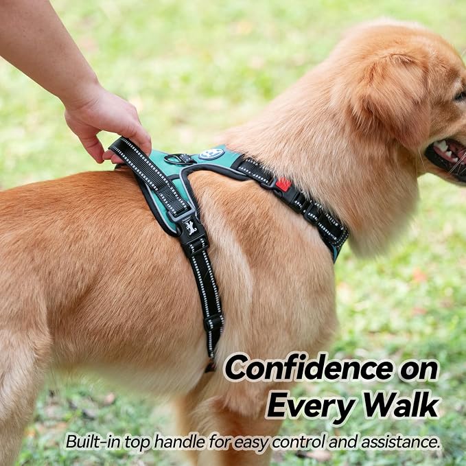 PoyPet No Pull Dog Harness Large with Front Clip & Neck Release Buckle | No Choke, Adjustable Vest, Reflective, Back Clip, Lockable, Soft Padded Handle for Walking Training, L, Mint Blue