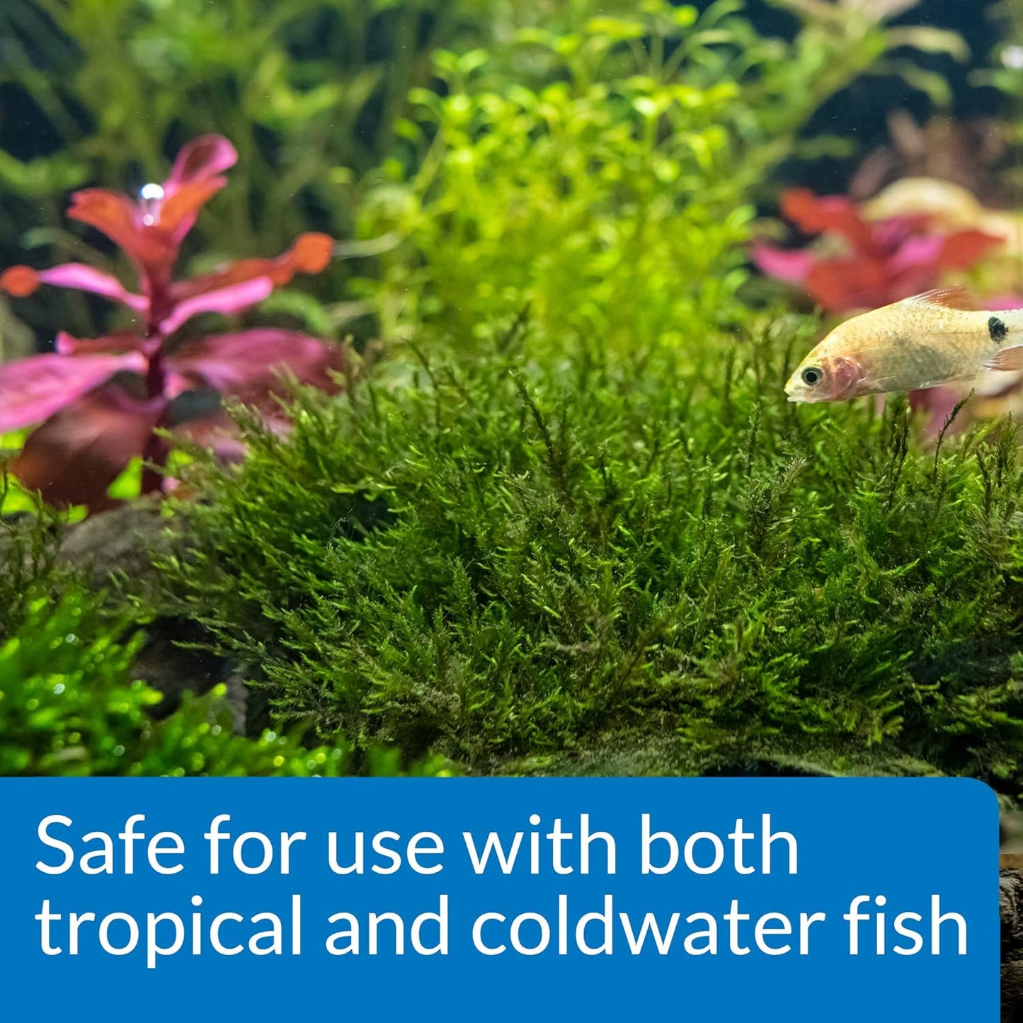 API ROOT TABS Freshwater Aquarium Plant Fertilizer 0.4-Ounce 10-Count Box