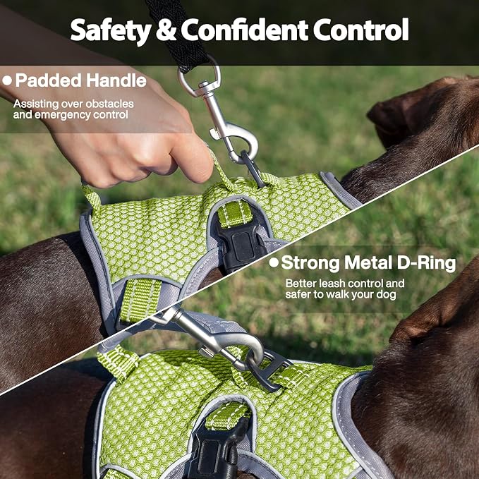 Escape Proof Dog Harness, Dachshund Harness, Reflective Dog Harness with Handle, Durable,Adjustable Vest for Small Medium Large Dogs Walking, Training, and Running Gear (Green,S)