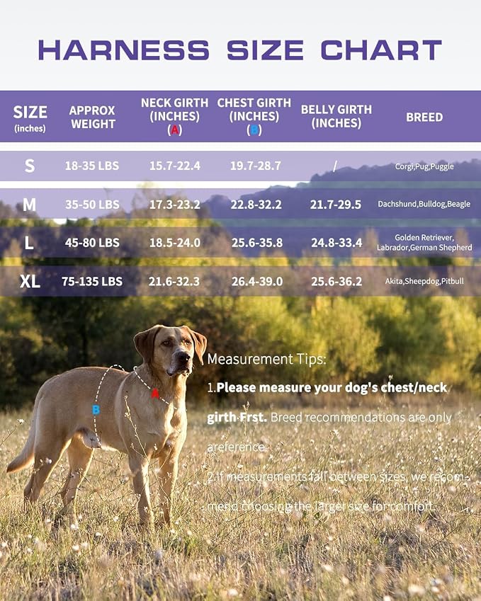 Dog Harness Medium Sized Dog, No Pull Dog Vest with Molle System | Tactical, Easy Control With Handle, Breathable Soft Padded, Adjustable, Reflective, No Choke for Walking, Purple Camo Medium