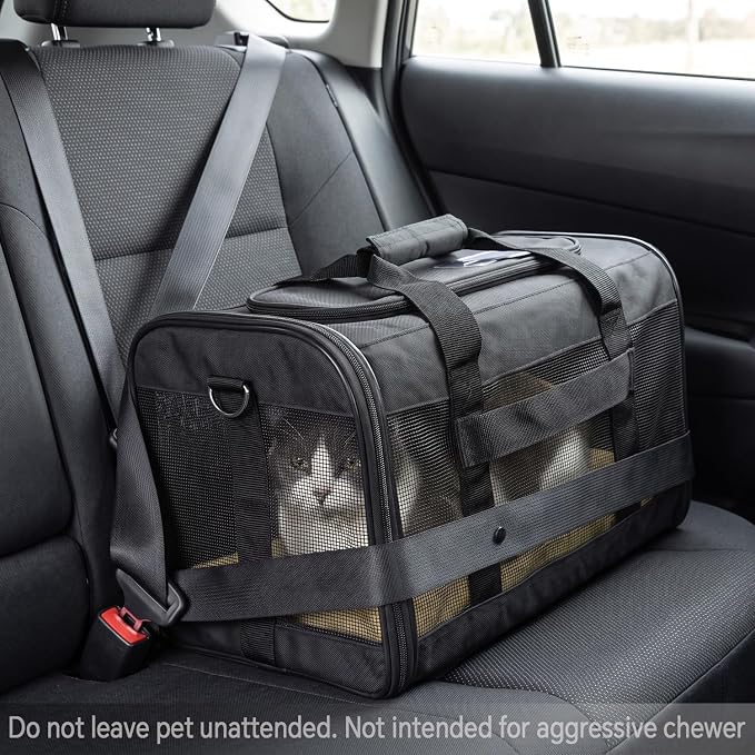 Conlun Cat Carrier Airline Approved, Soft-Sided Dog Carrier with Inner Safety Leash, Pet Transport Carrier for Small-Medium Cats Puppies up to 15 Lbs, Collapsible Travel Kitten Carrier Bag -Green M