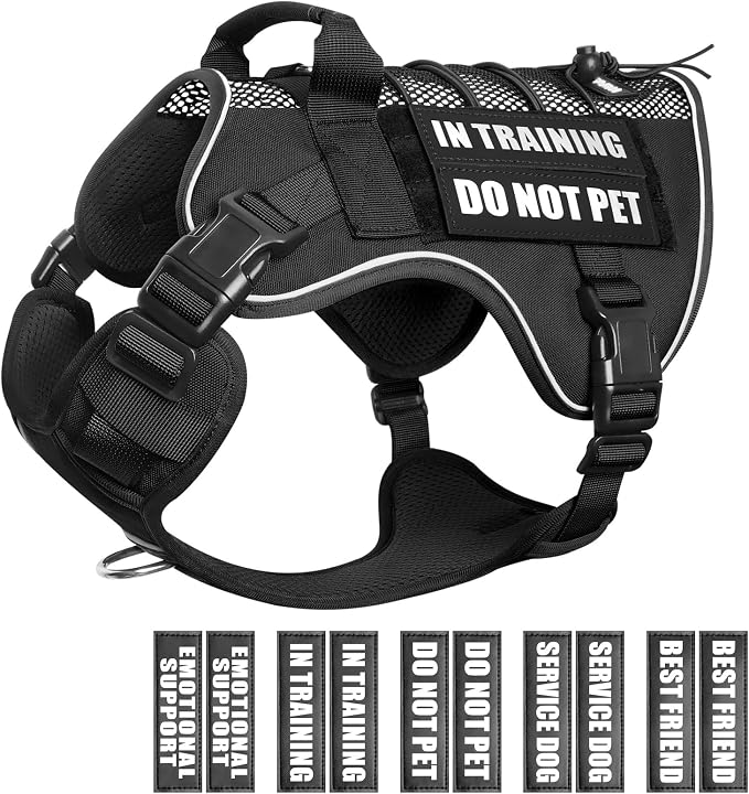 Service Dog in Training Mesh Harness with 10 Removale Pet Patches | Breathable material, adjustable straps, reflective trim, lightweight but durable, great for training, walks, and outings