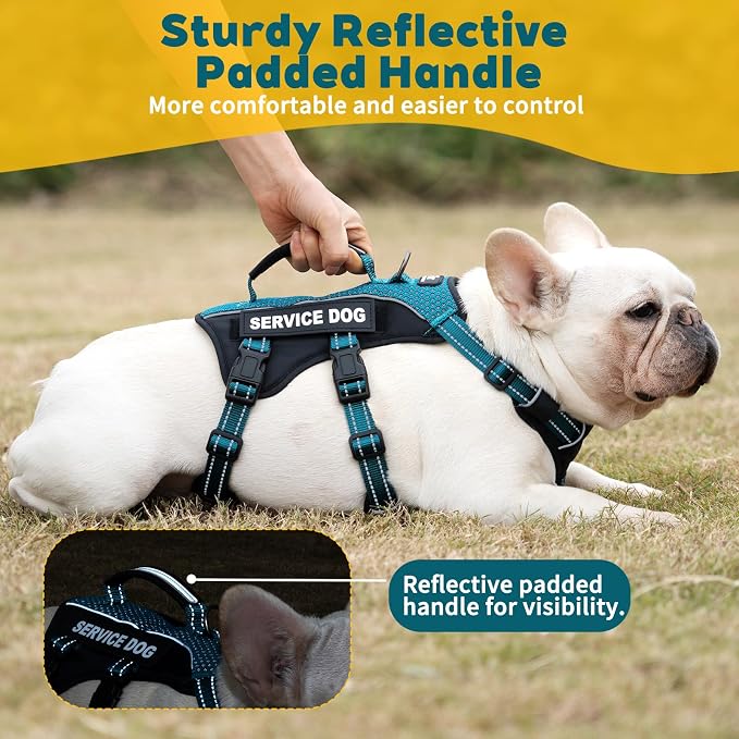 Service Dog Vest Harness, Escape Proof Harness with 6 Patches, No-Pull, Reflective Harness with Handle, Adjustable for Small to Large Dogs, for Training and Hiking (Teal, L)