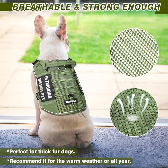 Service Dog in Training Mesh Harness with 10 Removale Pet Patches | Breathable material, adjustable straps, reflective trim, lightweight but durable, great for training, walks, and outings