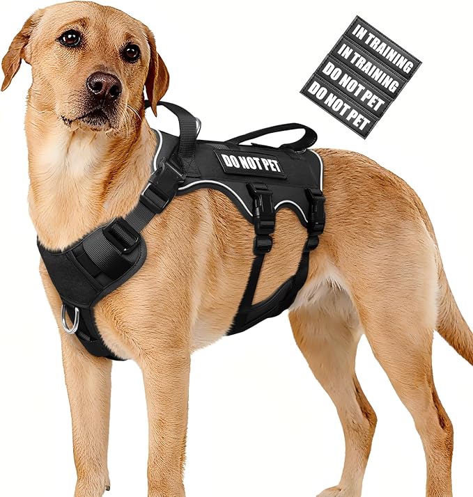 Escape Proof Dog Harness with Double Handle+4 Removable Patches | Service Working Molle Harness with Double Handle for Large Dogs, Tactical Pet Reflective Vest for Walking Hiking Hunting