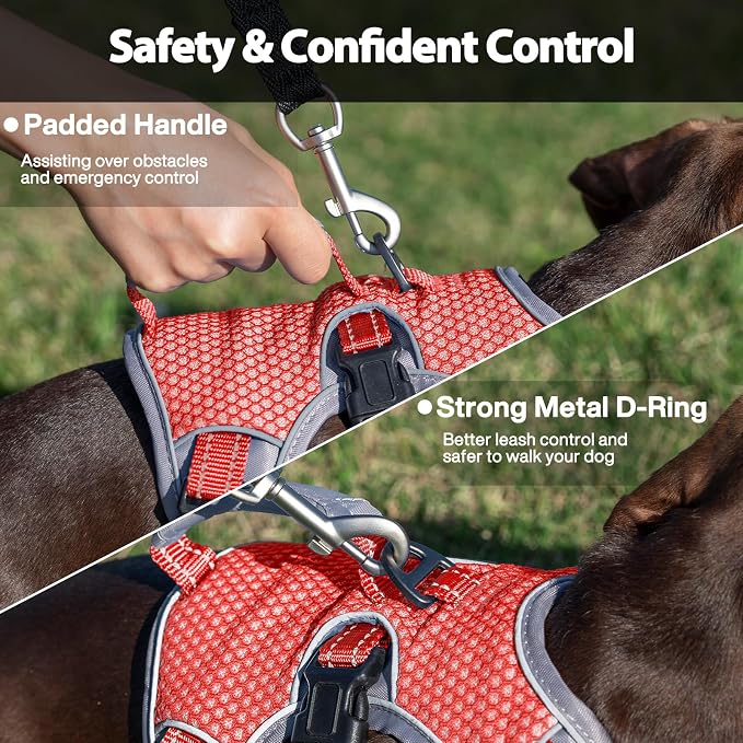 Escape Proof Dog Harness, Dachshund Harness, Reflective Dog Harness with Handle, Durable,Adjustable Vest for Small Medium Large Dogs Walking, Training, and Running Gear (Red,L)