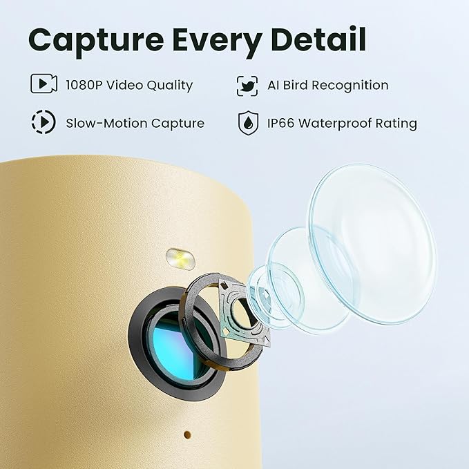 Birdfy Smart Bird Feeder with Camera for Rookie, Camera Bird Feeder Dual Night Vision, AI Recognition IP66 Waterproof for BirdLovers, 1.3L Capacity (AI by Subscription)