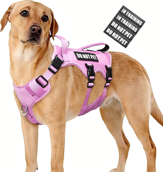 Escape Proof Dog Harness with Double Handle+4 Removable Patches | Service Working Molle Harness with Double Handle for Large Dogs, Tactical Pet Reflective Vest for Walking Hiking Hunting