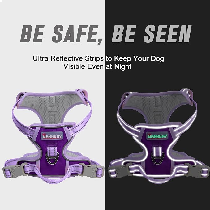 BARKBAY Dog Harness No Pull for Small Sized Dog Front Back Clips,Dog Vest | Soft Padded No Choke With Handle,Easy On&Off,Adjustable Reflective For Walking Training Running(Violet Purple & Purple,S)