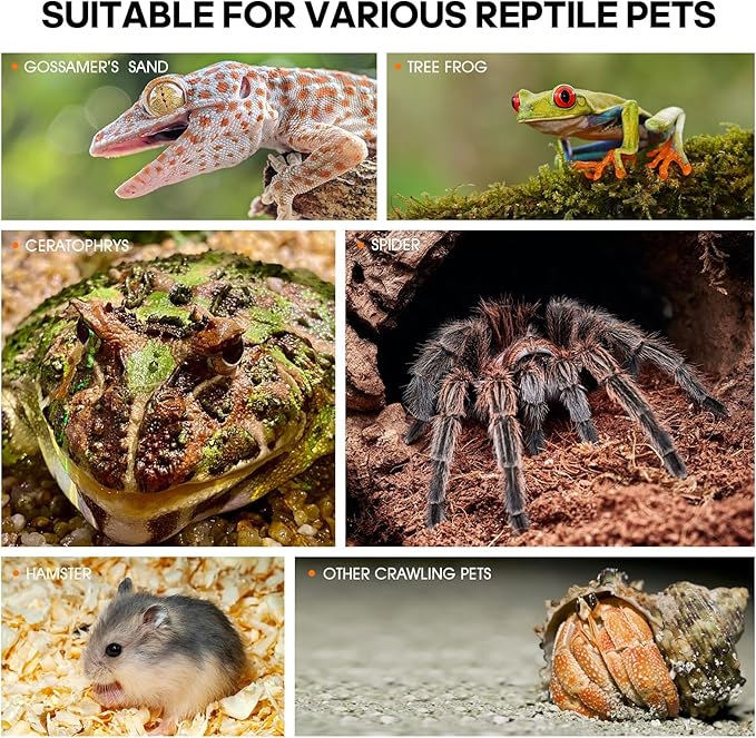 Acrylic Jumping Spider Habitat, Insect Terrarium, Bug Enclosure, Praying Mantis Habitat, Frog Enclosure