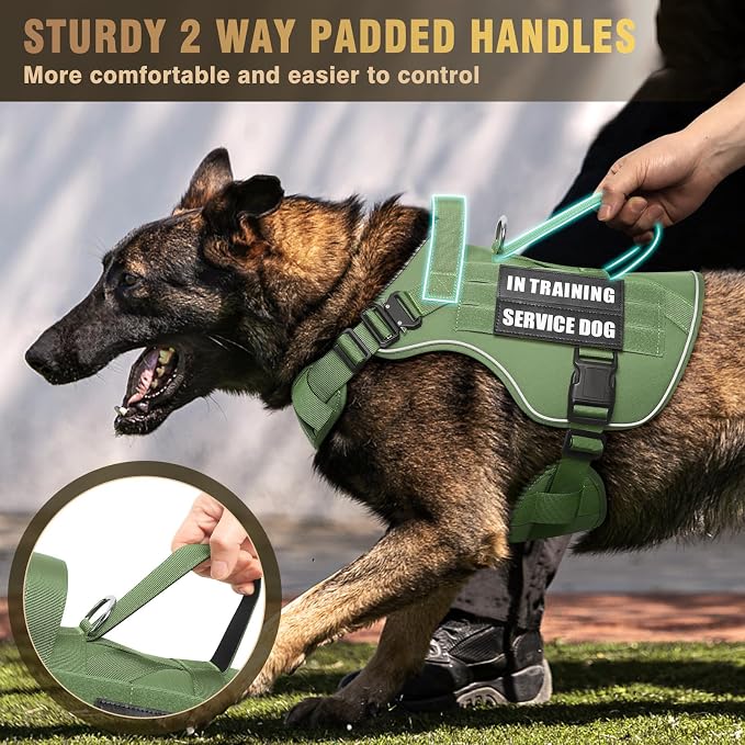 Tactical Dog Harness for Medium Dog, Heavy Duty Service Working MOLLE Vest with 10 Pet Patches, 2X Metal Buckle Vest for Training Hunting Walking
