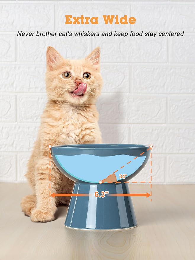 LoeJan Elevated Cat Food and Water Bowls Set, Extra Wide and Raised Ceramic Feeder, Anti-Vomit Whisker-Free Pressure Feeding Bowl for Kittens Adult Small Dogs, Deep Blue
