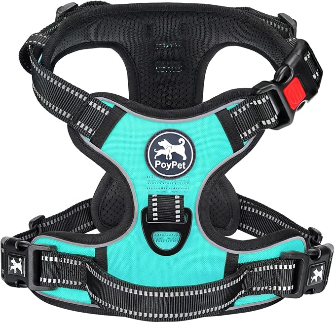 PoyPet No Pull Dog Harness Medium with Front Clip & Neck Release Buckle | No Choke, Adjustable Vest, Reflective, Back Clip, Lockable, Soft Padded Handle for Walking Training, M, Mint Blue