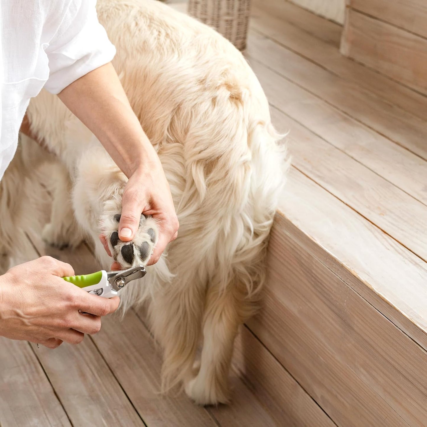 Dog Nail Clippers with Safety Guard - Pet Nail Clippers for Medium and Small Breed - Protective Nail Cutter, Safe Claw Trimmer, Ergonomic Toenail Scissors - Ebook Guide