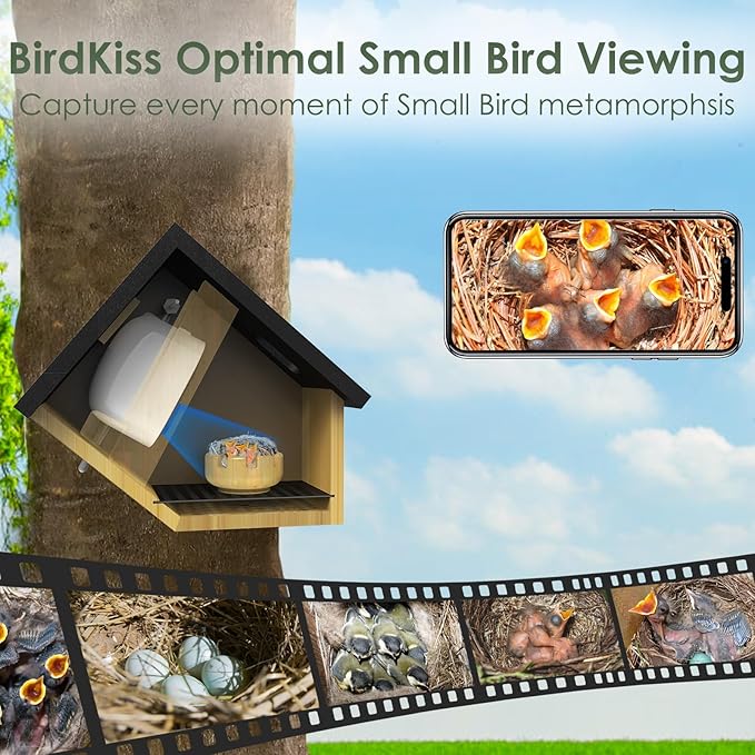 Birdkiss Smart Hummingbird House with Camera Solar Powered, 3MP HD Live View Birdhouse for Outside, Viewing Bird Nesting and Hatching, Ideal Outdoors Gift for Mom and Bird Lover (Black)