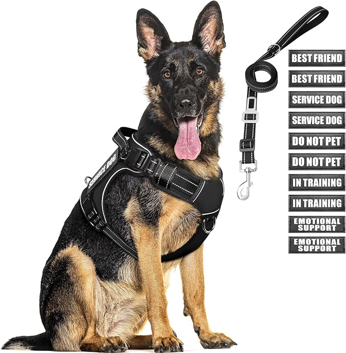 Tactical Dog Harness and Leash Set with 10 Patches for Large Dogs | Heavy Duty No Pull Service Dog Vest with Dog Seat Belt,Padded Handles,Adjustable Reflective for Training Hiking Black XL