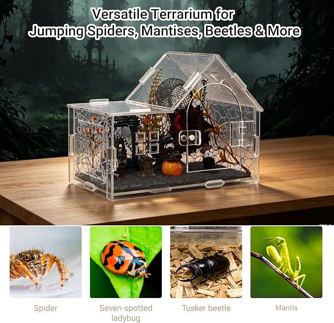 Acrylic Jumping Spider Enclosure Kit with Accessories | 22-in-1 complete decor set, clear 360° view, ideal for mantis, tarantula, and small reptiles