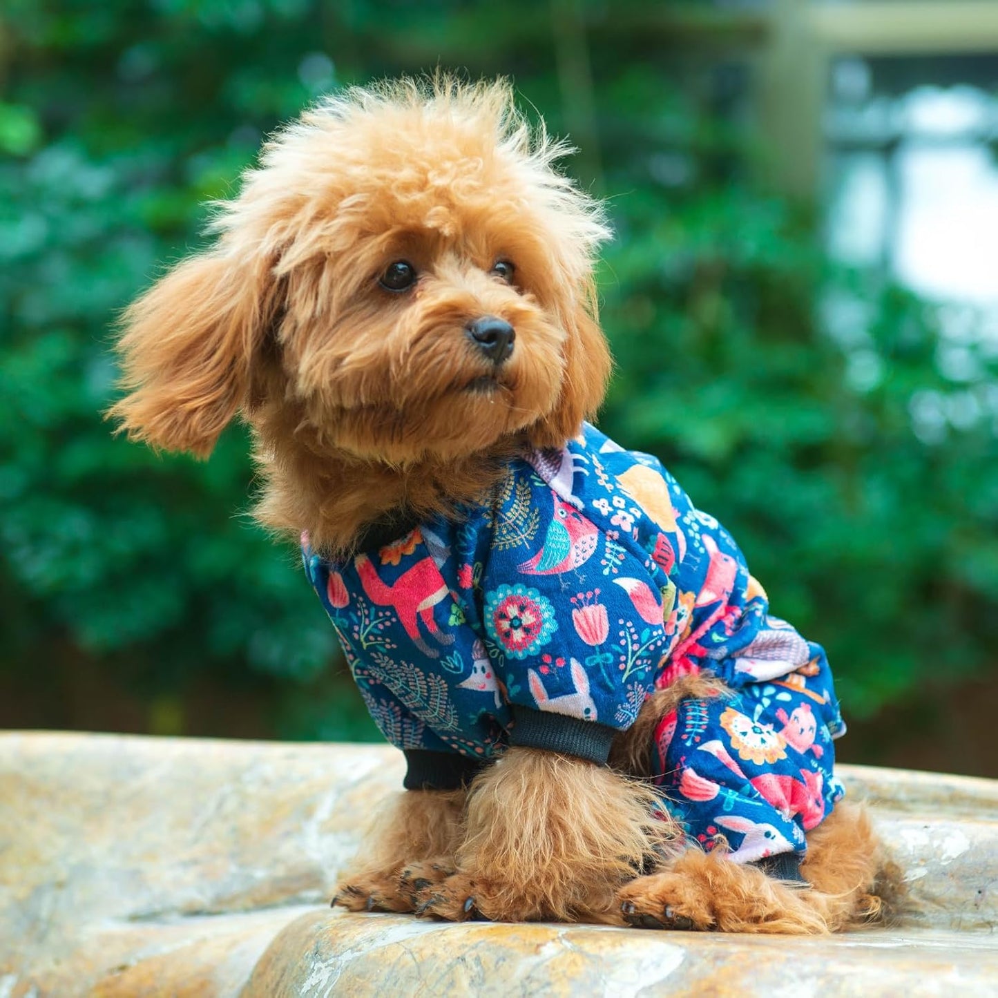 CuteBone Small Dogs Outfit Soft Puppy Onesies Pjs Dog Pajamas Pet Coat Cat Apparel Comfy Doggie Jumpsuit Bodysuit for All Seasons P75M