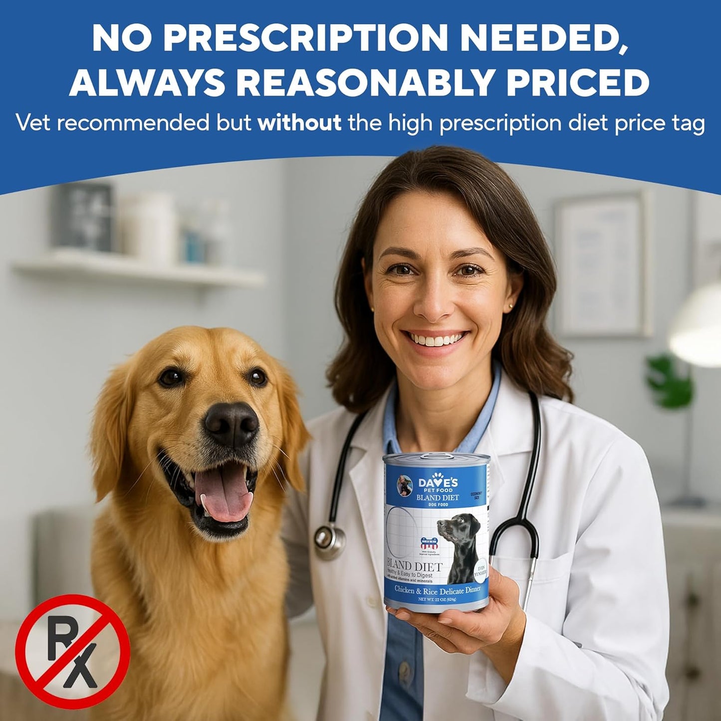 Dave's Dog Food Bland Diet Dog Food for Sick Dogs with Upset Stomach (Chicken & Rice), Economy Size for Large Pups or Big Eaters, Sensitive Stomach, 22 oz (Case of 12)