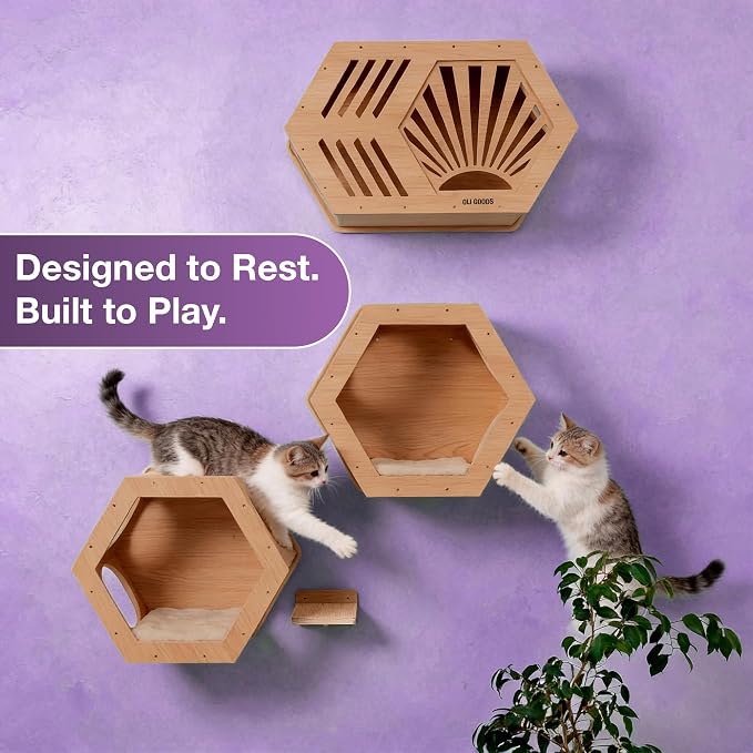 Modern Hexagonal Cat Wall Shelf System, 6-Piece Wood Wall Mounted Cat Furniture with 2 Small Hexagons, 1 Large Hexagon and 3 Climbing Steps, Geometric Cat Shelves