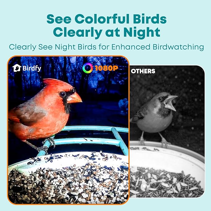 NETVUE by Birdfy Smart Bird Feeder with 2K AI Camera, Auto Capture Videos & Motion Detection, Live Steam, Wireless Wildbird Watching, Ideal Gift for Outdoor Backyard Birder(AI by Subscription)