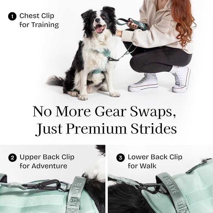 Fei & Eve Classic Dog Harness, MagEase Magnetic Buckle | 3-Point No-Pull Control, Dual Handle Support, 900D Nylon, Tactical Patch Panel, Heavy Duty, Small, Green