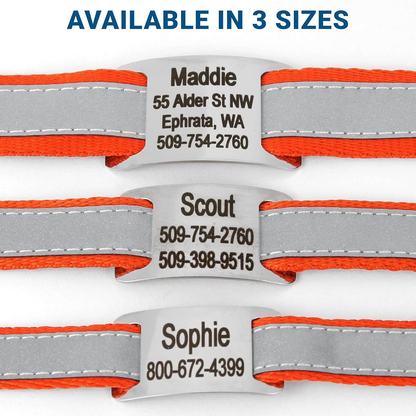GoTags Reflective Personalized Dog Collar with Nameplate, Adjustable Dog Collar with Custom Engraved Steel Slide On Pet ID Tag, Silent, No Noise Dog Tag for Large Medium or Small (Orange, Medium)