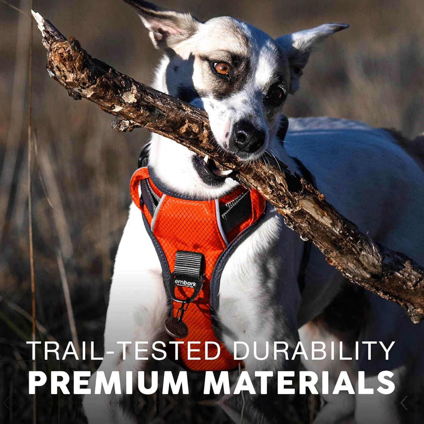 Embark Adventure Dog Harness, Reflective Trim No Pull Dog Harnesses for Small Sized Dogs - Military Grade Nylon, Front Clip with Gel Lined Handle.