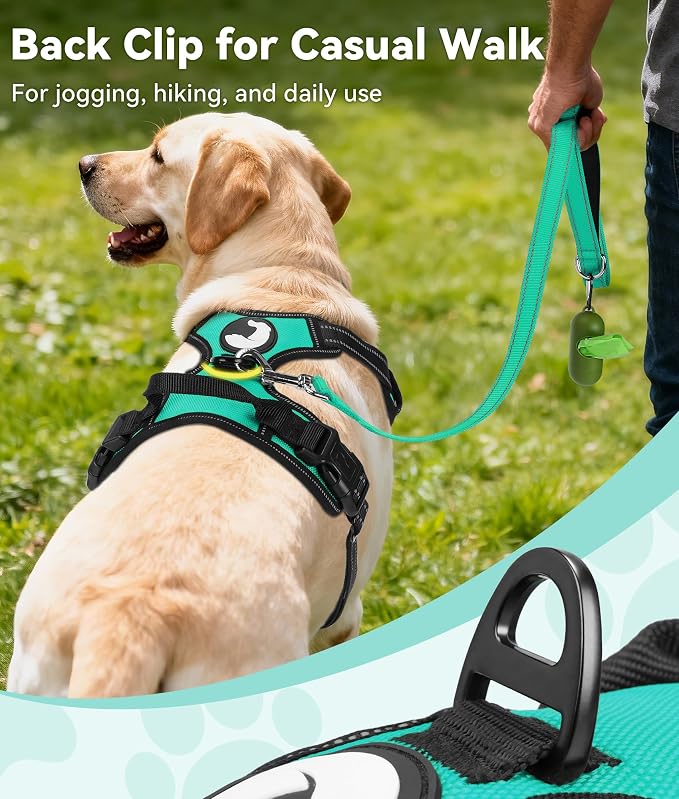 Joytale No Pull Dog Harness for Extra Large Dogs, Front Clip, Teal | Grab Handle for Instant Control, Padded & Adjustable Vest, Sturdy Metal D-Rings, for Safe Training & Daily Walking