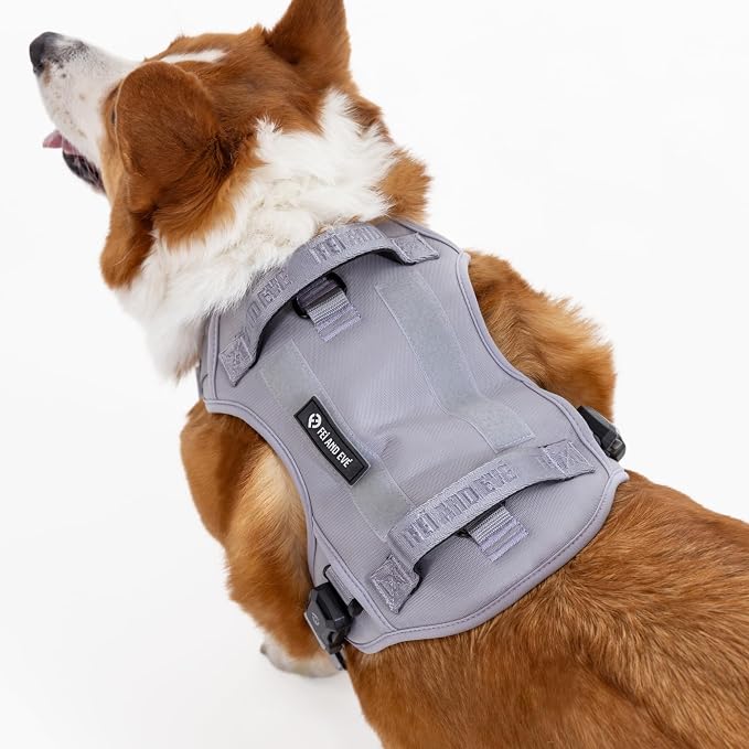 Fei & Eve Classic Dog Harness, MagEase Magnetic Buckle | 3-Point No-Pull Control, Dual Handle Support, 900D Nylon, Tactical Patch Panel, Heavy Duty, X-Large, Gray