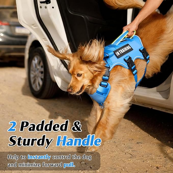 Escape Proof Dog Harness with Double Handle+4 Removable Patches | Service Working Molle Harness with Double Handle for Large Dogs, Tactical Pet Reflective Vest for Walking Hiking Hunting
