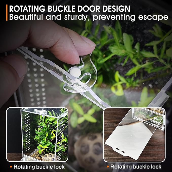 Acrylic Jumping Spider Habitat, Insect Terrarium, Bug Enclosure, Praying Mantis Habitat, Frog Enclosure