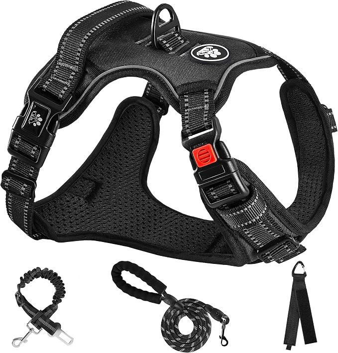NESTROAD No Pull Dog Harness,Adjustable Oxford Dog Vest Harness with Leash,Reflective No-Choke Pet Harness with Easy Control Soft Handle for Small Dogs(X-Small,Black)