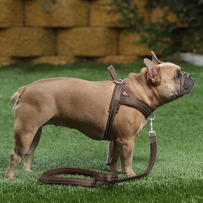 Plutus Pet No Pull Dog Harness for Large Dogs, Breathable Mesh Padded | Adjustable Reflective with Handle, Escape Proof, Quick Fit Pet Vest, Front Clip, for Training and Walking, Chocolate, L