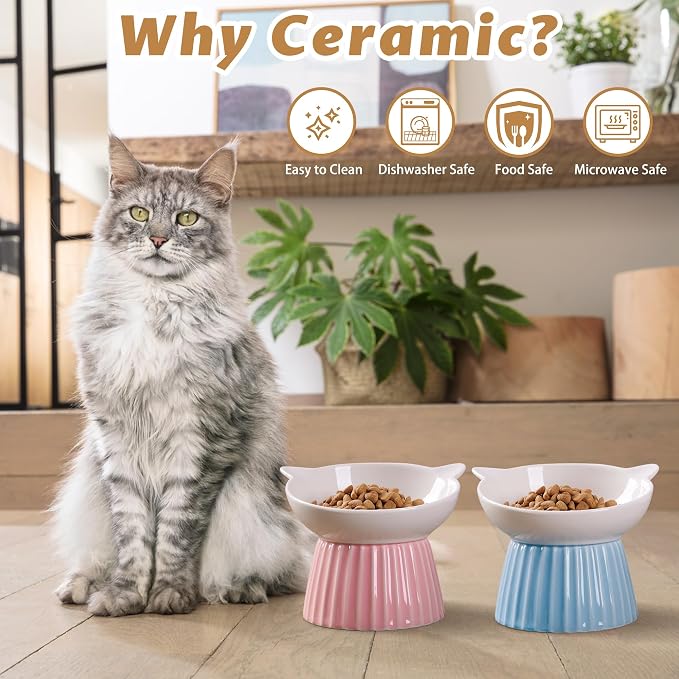 Ceramic Raised Cat Bowl，Tilted Raised Bowl Anti Vomit Bowls for Indoor Cats Whisker Friendly Pet Feeder for Cats Puppies, Microwave and Dishwasher Safe