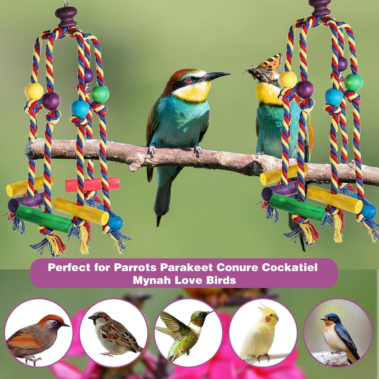 Bird Toys for Parrots Conures, Colorful Rope Bird Toys, Interactive Chewing Climbing Toy for Cockatiels, Small Birds Fun Hanging Design with Hook for Cages Relieves Boredom Encourages Behavior