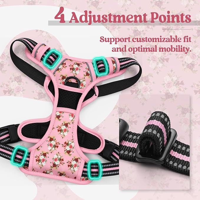 rabbitgoo Dog Harness, No Pull for Small Dogs with 2 Leash Clips, Pet Vest | No Choke with Handle, Adjustable Soft Padded, Reflective, Easy Control for Walking, Pink Rose, Small