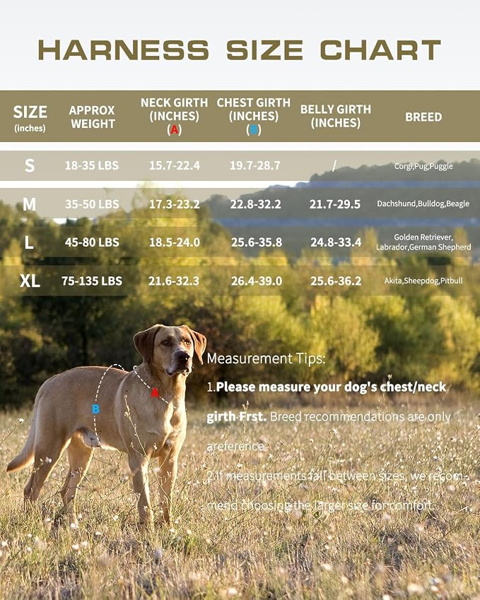 Dog Harness Medium Sized Dog, No Pull Dog Vest with Molle System | Tactical, Easy Control With Handle, Breathable Soft Padded, Adjustable, Reflective, No Choke for Walking, Desert Camo Medium