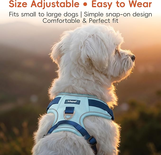 Dog Harness and Leash Set with Collar, No Pull Reflective Pet Vest Harness with Control Handle for Medium Large Dogs Walking and Training
