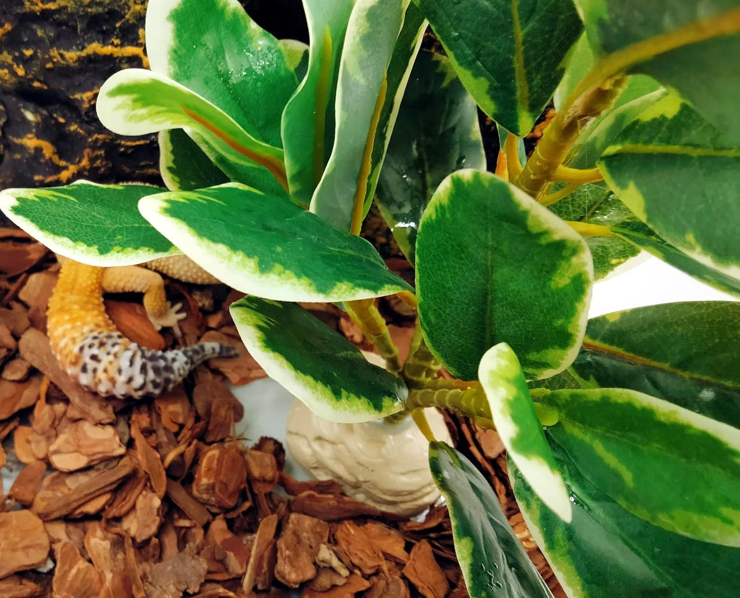 Reptile Plants Terrarium Artificial Leaves Reptile Tank Decorations for Bearded Dragon Lizard Snake Geckos Chameleon Amphibian Habitat Terrarium Decor