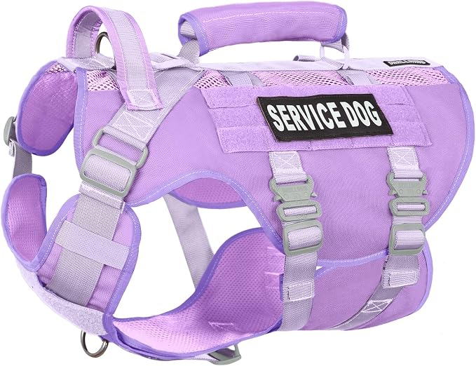 Service Dog Vest for Large Dogs, Purple Tactical Harness with Military MOLLE, Breathable Mesh & 39g Metal Buckle - Size M for Training & Hiking