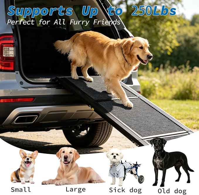 Ashfield & Harkness: Felt Dog Ramp - 71 x20, Black, Foldable & Portable, Metal Frame, Non-Slip, Stairs Alternative for Car-SUV-Truck, Pets 250lbs Cap