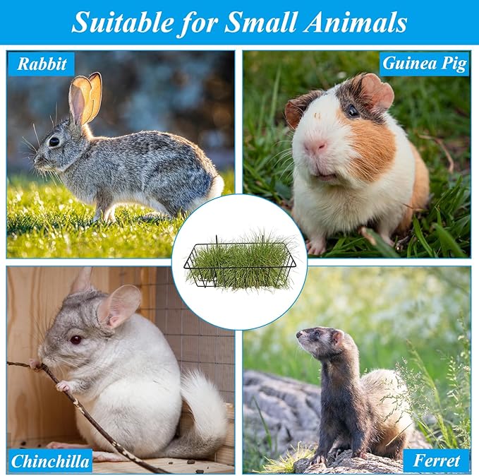 6PCS Rabbit Hay Feeder Bunny Hay Feeder Heavy Duty Metal Rack with Hooks, 9x4x3 Inch Rabbit Hay Holder Cage Hanging Hay Holder for Rabbits Bunny Guinea Pig (Black)