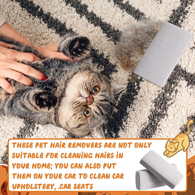 6 Pcs Abbyike Pet Hair Remover Rock Pumice Stone for Dog Cat Hair Pet Removal Cleaning Fur Removal Block Tool Scraper for Car, Carpet, Couch, Beding, Fufmiture Cleaning (3.74 x 1.97 x 1.38 Inch,Gray)