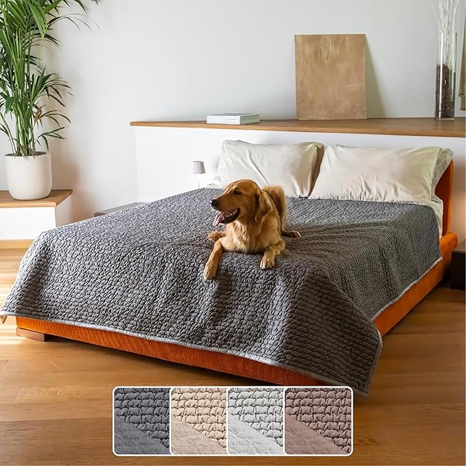 PAULATO BY GA.I.CO. Waterproof Blanket for Bed – King Absorbent Couch Cover – Machine Washable Stain-Resistant Pad for Large Sofa – Pets Cat & Dog Friendly Furniture Protector - Dark Grey