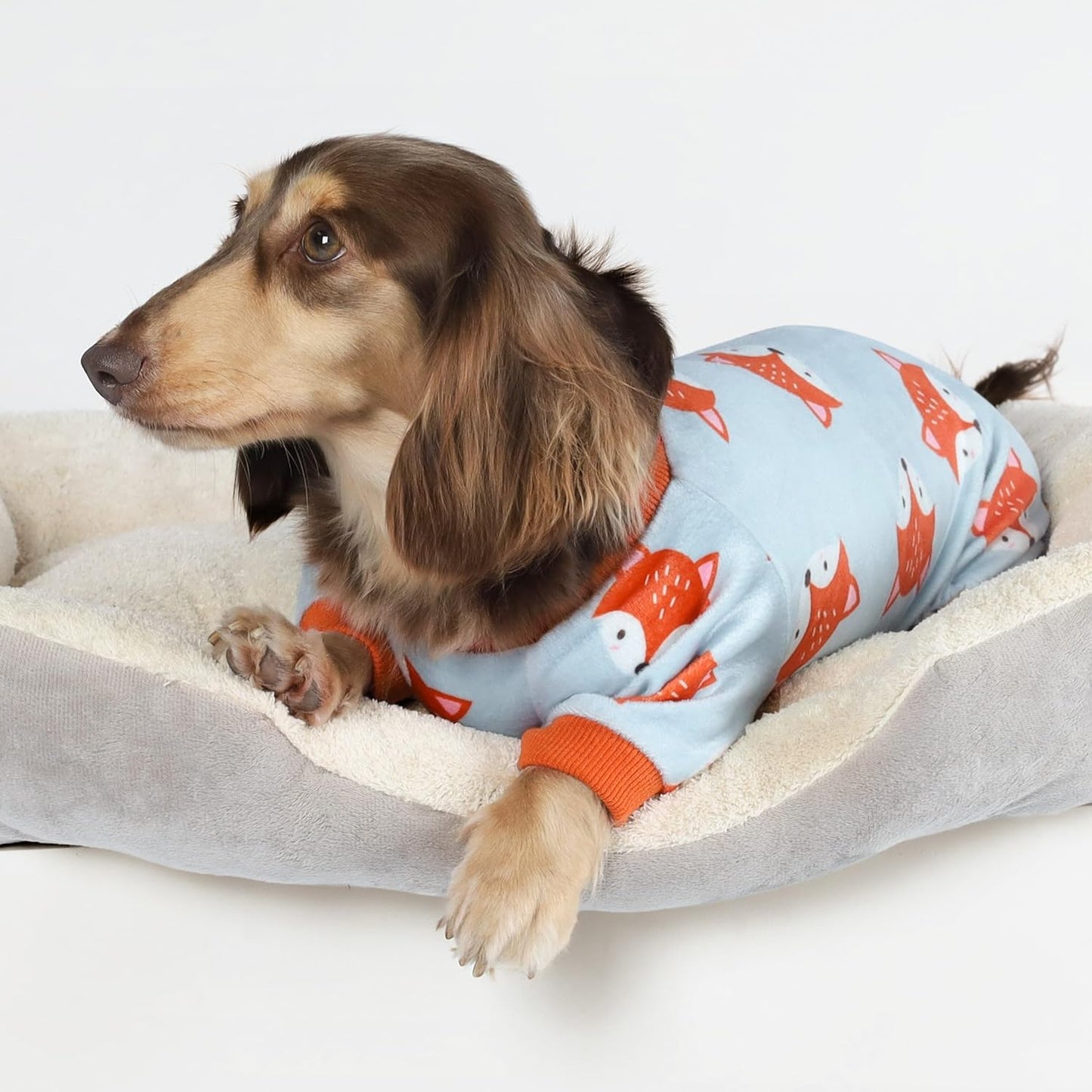 Fitwarm Funny Fox Dog Pajamas, Warm Dog Onesie, Dog Clothes for Small Dogs Girl Boy, Lightweight Velvet, Pet Outfit, Gray, Orange, XS